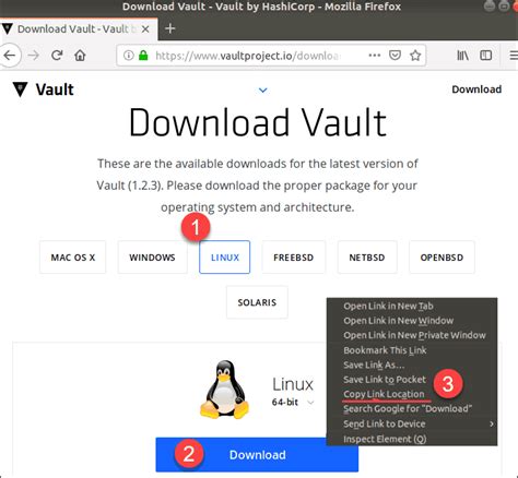 Image result for Install Vault Linux