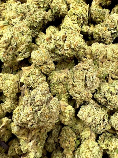 Grease Monkey Strain THCA Flower For Sale | Frisco Labs Exclusive ...