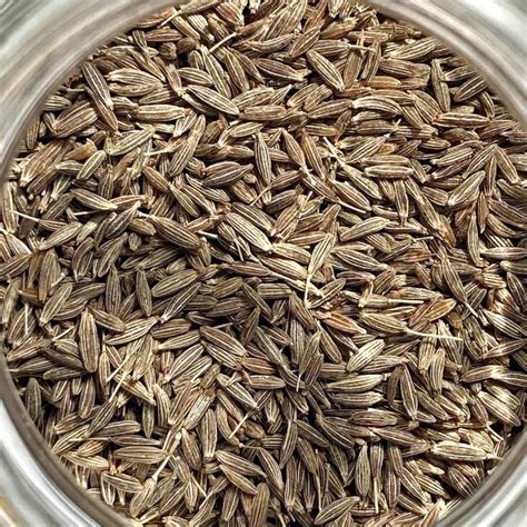 What is Cumin | Spice and Life