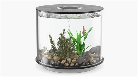 Black Cylinder Fish Tank 3D Model - TurboSquid 2133689
