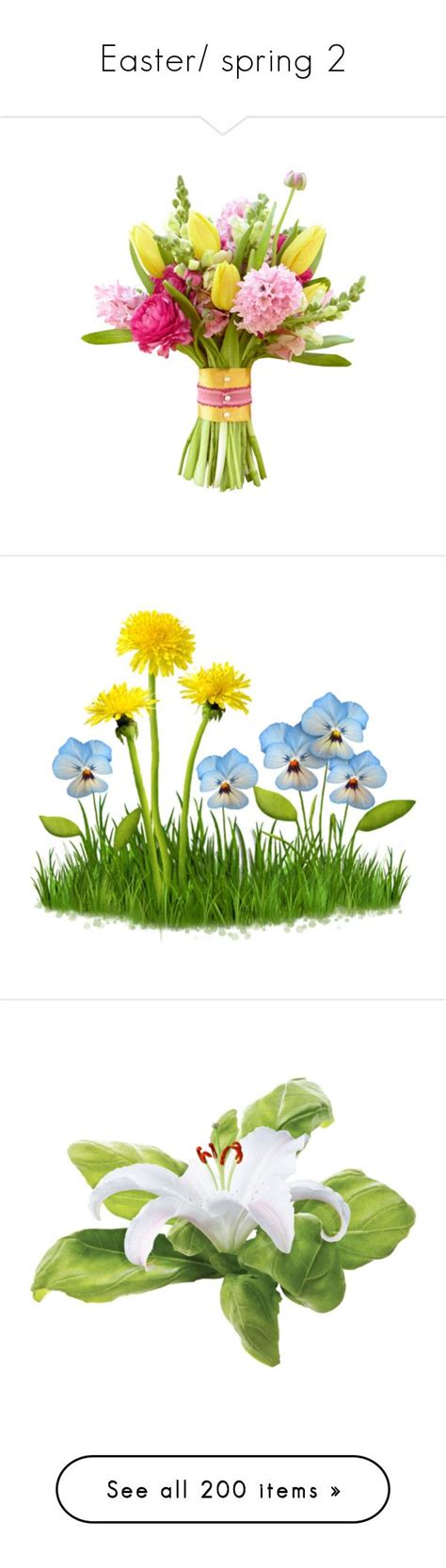 Image result for Spring Flower Types