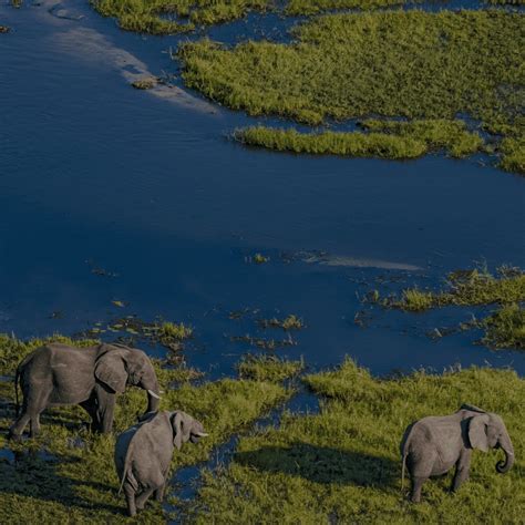 Zimbabwe Official Languages