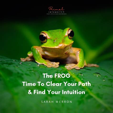 The Spiritual Symbolism of Frogs - Sarah Merron