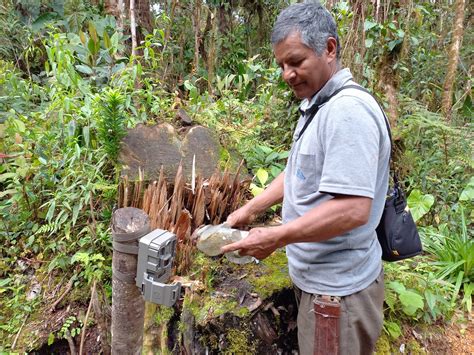 Huila, líder en el monitoreo de la biodiversidad a través del ...
