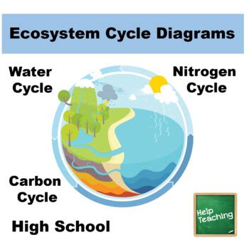 Ecosystem Cycle 的图像结果