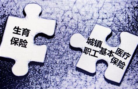 四川省省本级生育保险报销标准、结算办法（上）
