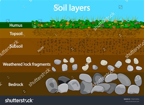 Humus Soil