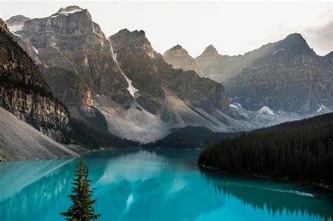 Image result for How to Use BigQuery API