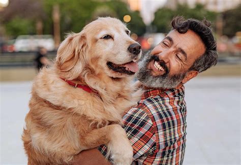 Study Exploring Canine Aging Hopes to Help Dogs and Their Owners