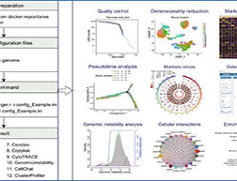RNA-Seq Analysis Tutorial 的图像结果