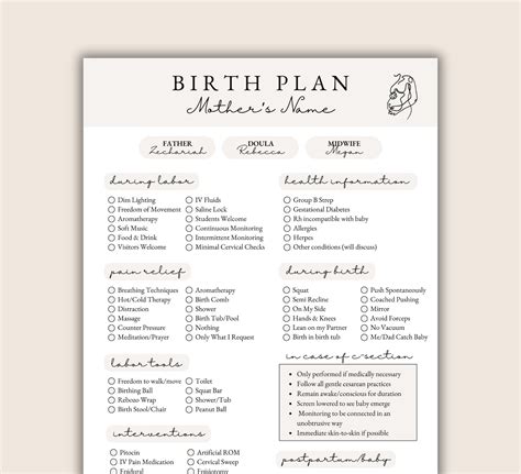 Customizable 1-page Birth Plan Template, Birth Plan Printable, Printable Birthing Plan, Editable ...