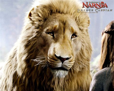 Narnia Aslan Wallpaper