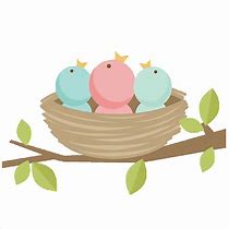 Image result for Baby Birds in Nest with Eggs
