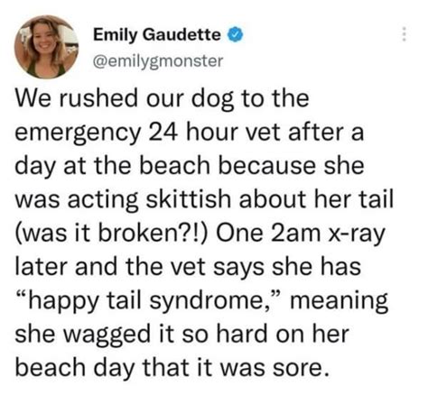 Happy tail syndrome (found in the wilds) : r/MadeMeSmile