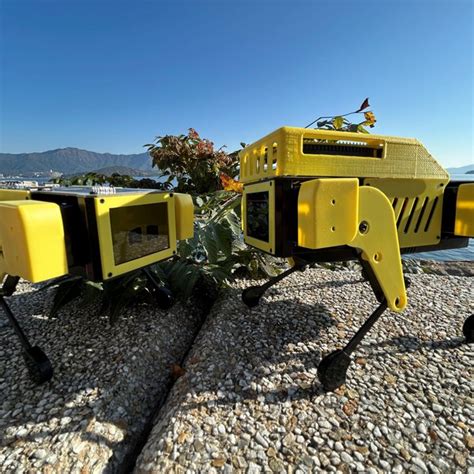 Mini Robot Chat GPT 的图像结果