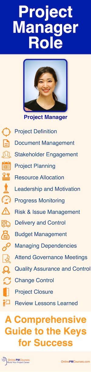Image result for Advisory Role Project Manager
