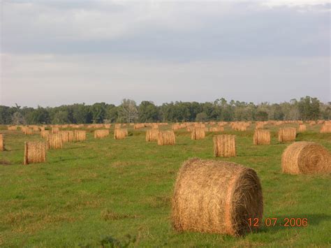 Gallery | Hardee County Property Appraiser