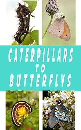 CATERPILLARS & BUTTERFLY PHOTOBOOK eBook : INC., INS: Amazon.in: Kindle ...