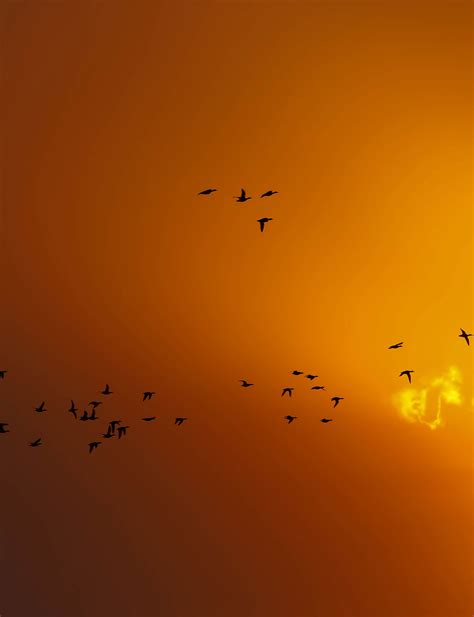 Teal Season - Spread Oaks Ranch