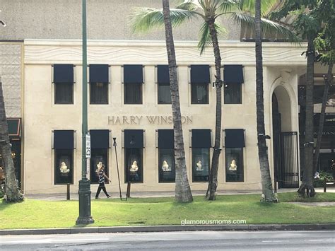 Shop Luxury Row in Honolulu – Shannon Lazovski