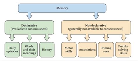 Image result for Transactive Memory Quizlet