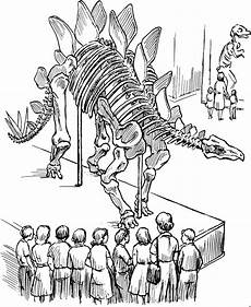 ausmalbilder dinosaurier dinosaurierskelett ausmalbild malvorlage dinosaurier ausmalbilder dinosaurier dinosaurierskelett ausmalbild malvorlage dinosaurier