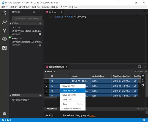 SQL Setup in vs Code 的图像结果