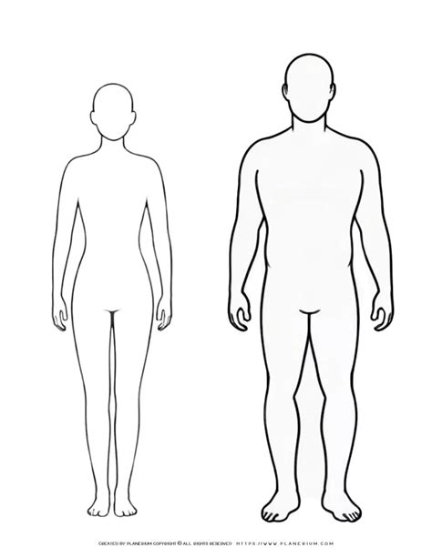 Printable Female Body Outline for Classroom Activities
