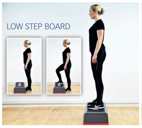 Image result for Glad Program Exercises PDF Free