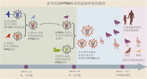 生物物理所新型流感H7N9病毒溯源研究获得重要进展--生物物理研究所