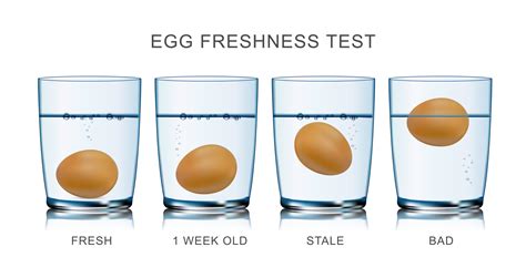 How To See If Egg Is Fresh