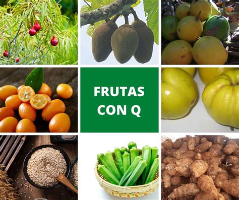 Verduras Con La Letra I – Descubre las 13 frutas y vegetales que ...