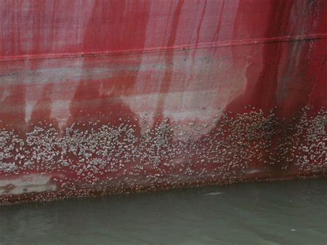 Langh Ship welcomes first of three 1,200 TEU green feeder ships ...