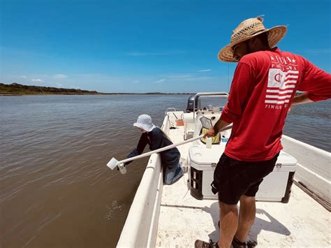 CRISPR Kit for Humans 的图像结果