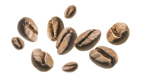 PERFECT BREW. Сoffee and Tea