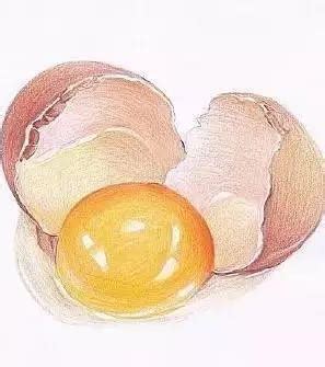 鸡蛋画法_露西学画画