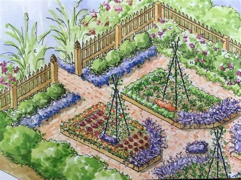 kitchen garden layout