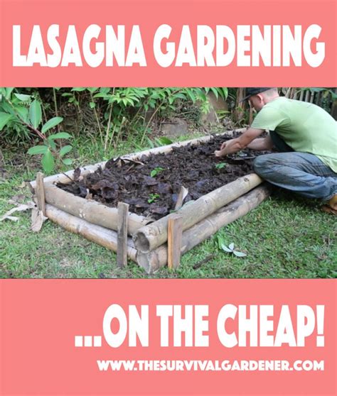 Easy Lasagna Gardening the FREE Way   The Survival Gardener