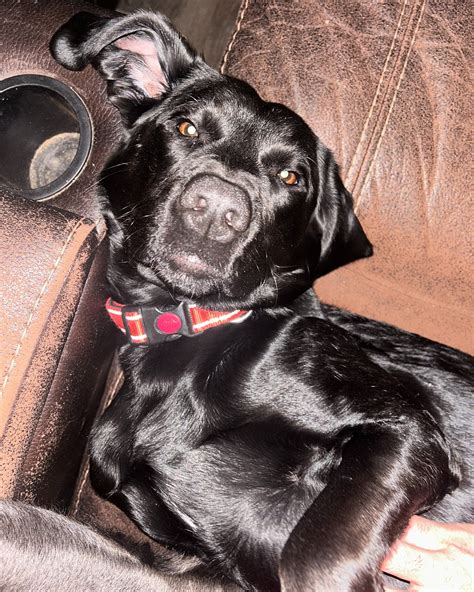 Stephanie Nelson | Our little observer. Curious yet timid boy. Sweet but strong. Can’t imagine ...