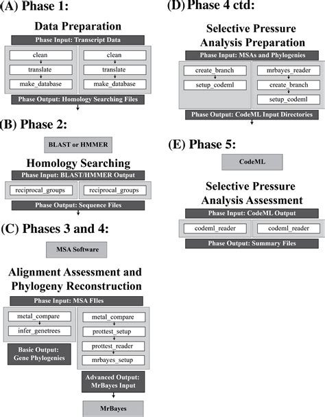 VESPA: Very large-scale Evolutionary and Selective Pressure Analyses ...