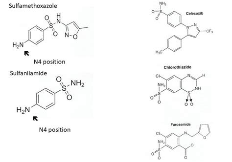 Can my patient with a ‘sulfa allergy’ receive celecoxib or other nonantimicrobial sulfonamides ...