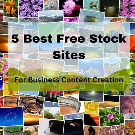 What Are the Best Free Stock 的图像结果