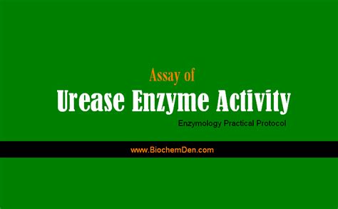 Assay of Urease Enzyme Activity (Enzymology Practical Protocol)