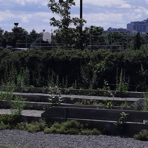 PARC FÉLIX-LECLERC - All You Need to Know BEFORE You Go 2026 (with ...