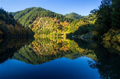 Umpqua Tourism (2024): All You Need to Know Before You Go