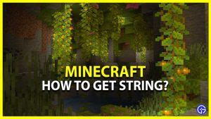 Image result for How to Use String in Minecraft