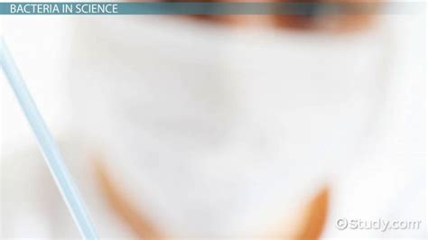 Image result for Colony-Forming Unit Definition