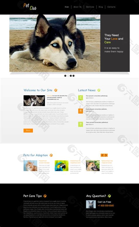 宠物网站模板网页UI素材免费下载(图片编号:1639892)-六图网
