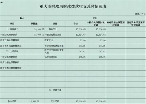 重庆市财政局部署财政数字化改革工作_服务_变革_制度