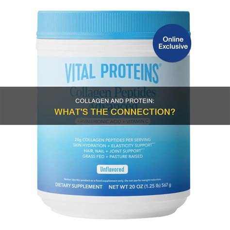 Collagen And Protein: What's The Connection? | MedShun